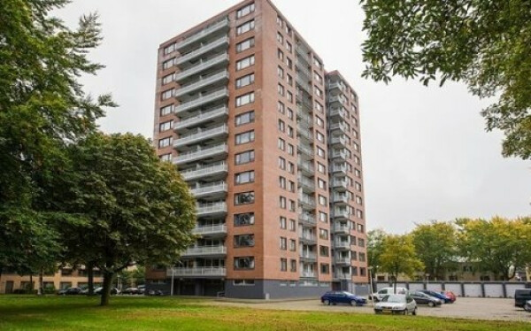 Waalstraat